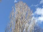 DSCF6576_R1024.jpg