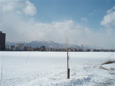 P3083103_R400.jpg